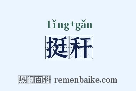 挺秆是什么意思的图片